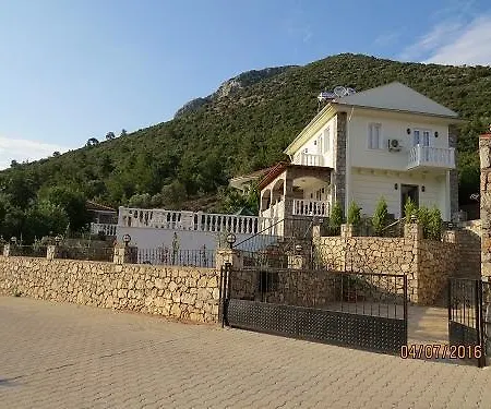 Valley View Uzumlu *