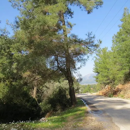 בית נופש Valley View Uzumlu פאטהיה