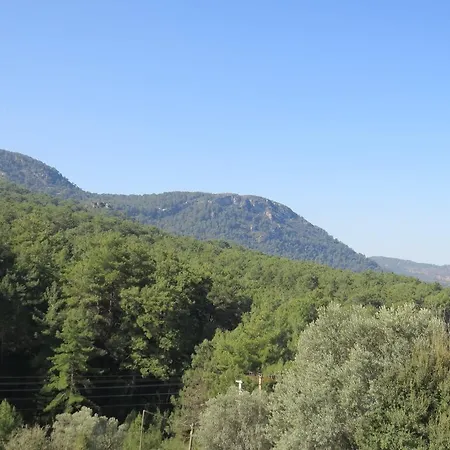 펜션 Valley View Uzumlu 페티예